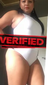 Vanessa sexy Prostitute Czeladz
